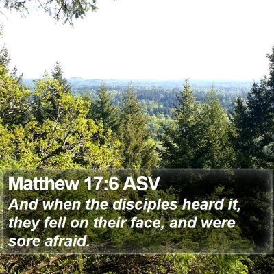 Matthew 17:6 ASV Bible Verse Image
