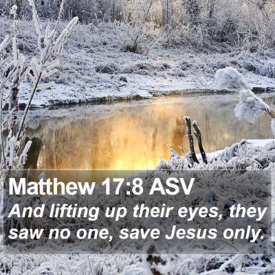 Matthew 17:8 ASV Bible Verse Image