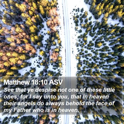 Matthew 18:10 ASV Bible Verse Image