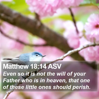 Matthew 18:14 ASV Bible Verse Image