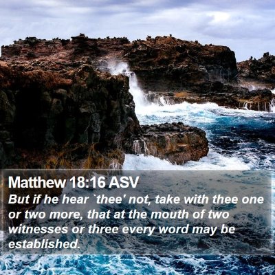 Matthew 18:16 ASV Bible Verse Image