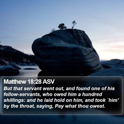 Matthew 18:28 ASV Bible Verse Image