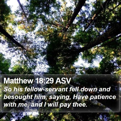 Matthew 18:29 ASV Bible Verse Image