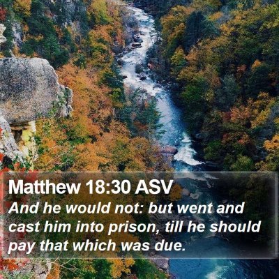 Matthew 18:30 ASV Bible Verse Image