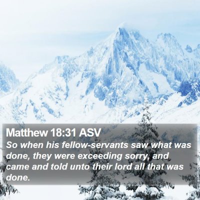 Matthew 18:31 ASV Bible Verse Image