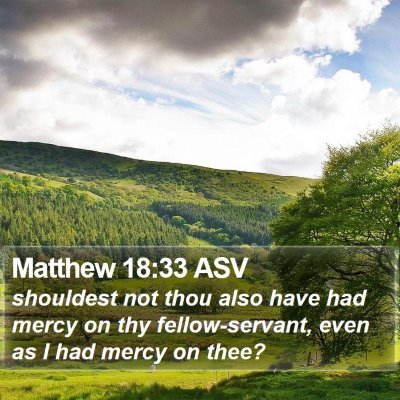 Matthew 18:33 ASV Bible Verse Image