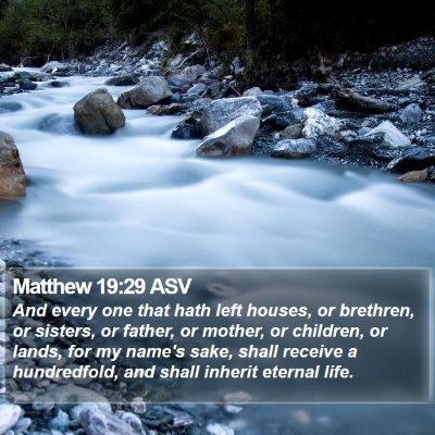 Matthew 19:29 ASV Bible Verse Image