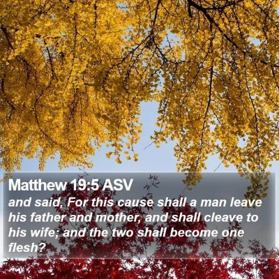 Matthew 19:5 ASV Bible Verse Image