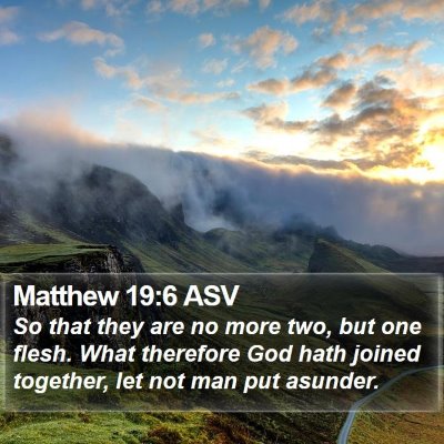 Matthew 19:6 ASV Bible Verse Image