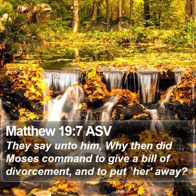Matthew 19:7 ASV Bible Verse Image
