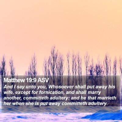 Matthew 19:9 ASV Bible Verse Image
