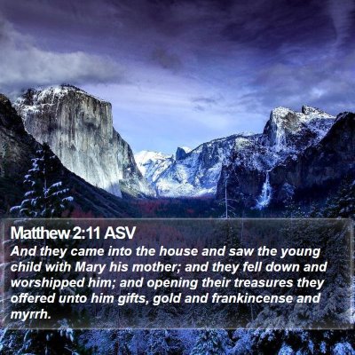 Matthew 2:11 ASV Bible Verse Image