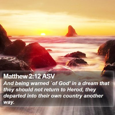 Matthew 2:12 ASV Bible Verse Image