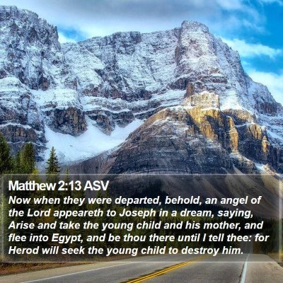 Matthew 2:13 ASV Bible Verse Image