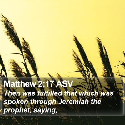 Matthew 2:17 ASV Bible Verse Image