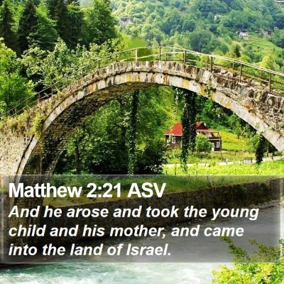 Matthew 2:21 ASV Bible Verse Image