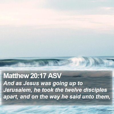 Matthew 20:17 ASV Bible Verse Image
