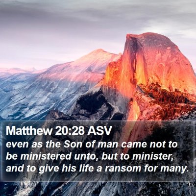 Matthew 20:28 ASV Bible Verse Image