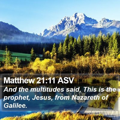 Matthew 21:11 ASV Bible Verse Image