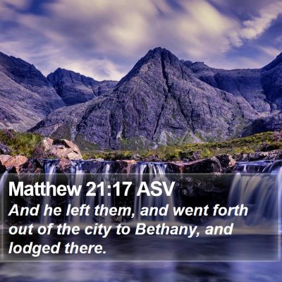 Matthew 21:17 ASV Bible Verse Image
