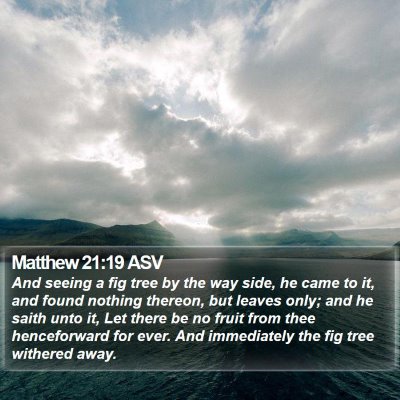 Matthew 21:19 ASV Bible Verse Image