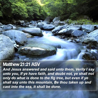 Matthew 21:21 ASV Bible Verse Image