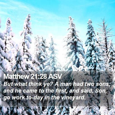 Matthew 21:28 ASV Bible Verse Image