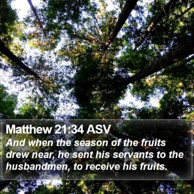 Matthew 21:34 ASV Bible Verse Image