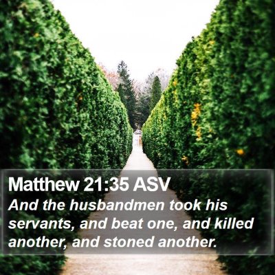 Matthew 21:35 ASV Bible Verse Image
