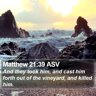 Matthew 21:39 ASV Bible Verse Image