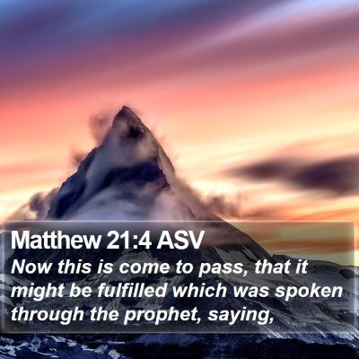 Matthew 21:4 ASV Bible Verse Image