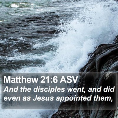 Matthew 21:6 ASV Bible Verse Image