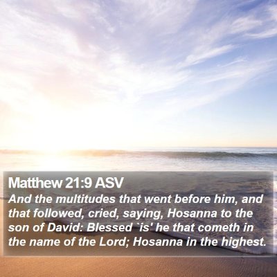 Matthew 21:9 ASV Bible Verse Image