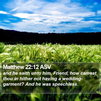Matthew 22:12 ASV Bible Verse Image