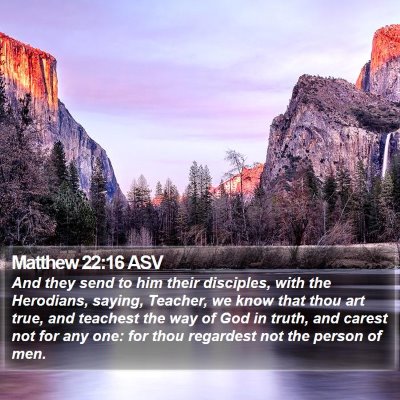 Matthew 22:16 ASV Bible Verse Image