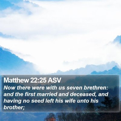 Matthew 22:25 ASV Bible Verse Image