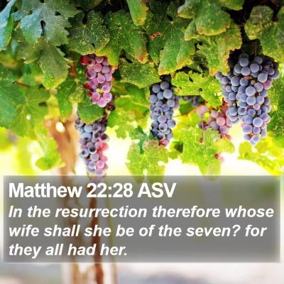 Matthew 22:28 ASV Bible Verse Image