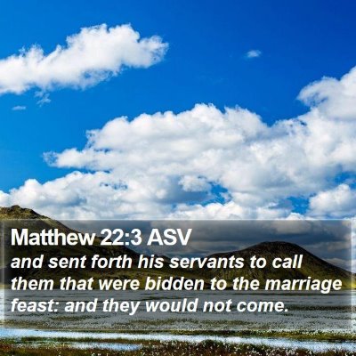 Matthew 22:3 ASV Bible Verse Image
