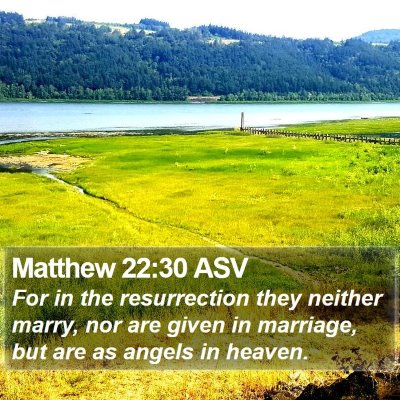 Matthew 22:30 ASV Bible Verse Image