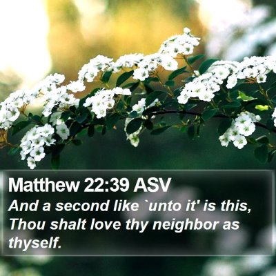 Matthew 22:39 ASV Bible Verse Image
