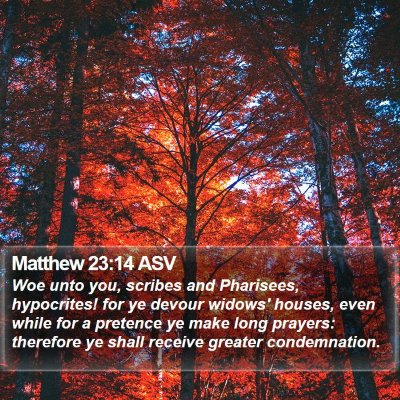 Matthew 23:14 ASV Bible Verse Image