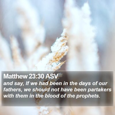 Matthew 23:30 ASV Bible Verse Image