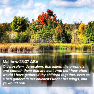 Matthew 23:37 ASV Bible Verse Image