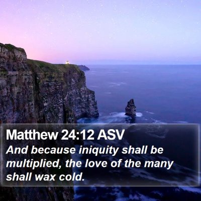 Matthew 24:12 ASV Bible Verse Image