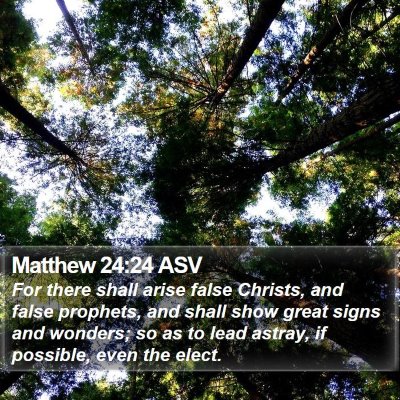 Matthew 24:24 ASV Bible Verse Image