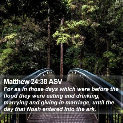 Matthew 24:38 ASV Bible Verse Image