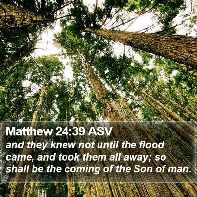 Matthew 24:39 ASV Bible Verse Image