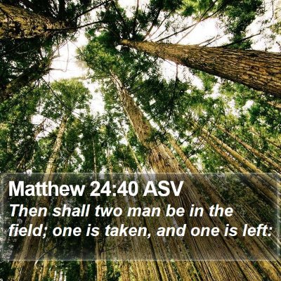 Matthew 24:40 ASV Bible Verse Image