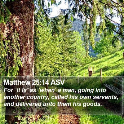Matthew 25:14 ASV Bible Verse Image