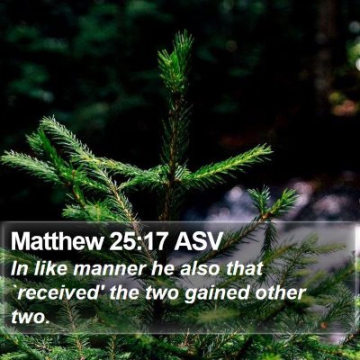 Matthew 25:17 ASV Bible Verse Image